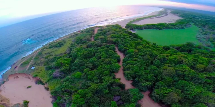 Foto: cortesía // Frenan el ecocidio en Punta Colorada.