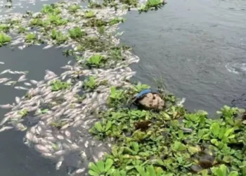 Enésimo anuncio para rescatar el Río los Perros en Juchitán