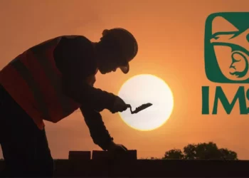 ¿Cuáles son los seguros que tiene el IMSS para trabajadores independientes?