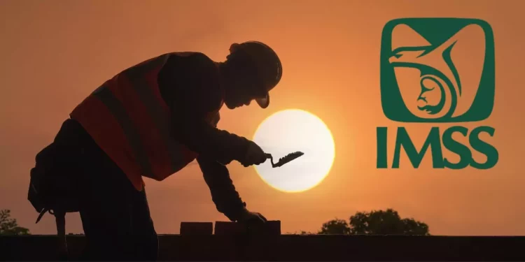 ¿Cuáles son los seguros que tiene el IMSS para trabajadores independientes?