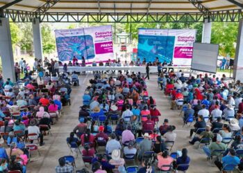 Esta consulta es una de las que está obligado el gobierno federal con el respeto a los derechos de los pueblos originarios y con el acceso equitativo al agua.