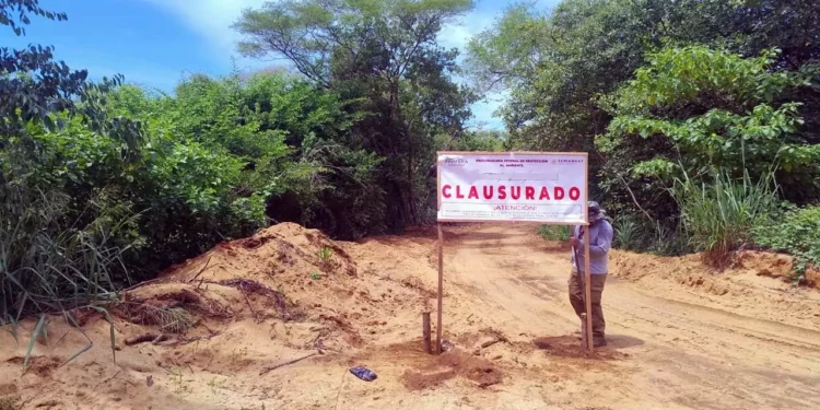 Suspenden el ecocidio que se llevaba a cabo en la zona de reserva ecológica de Punta Colorada, en San Pedro Mixtepec-Puertos Escondido, en la Costa de Oaxaca.