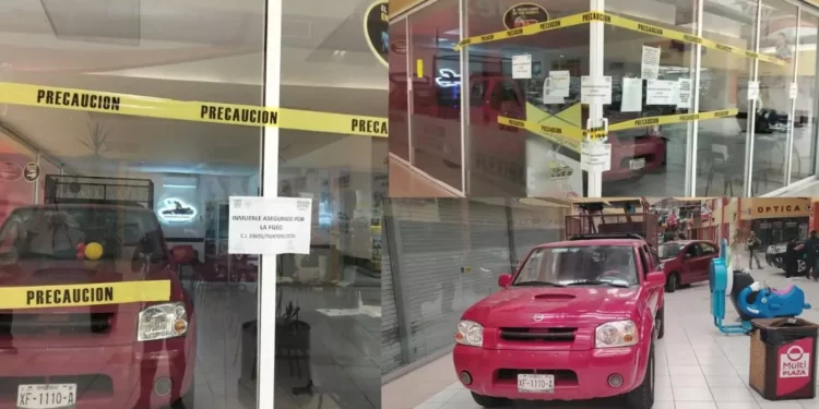 Cae red de fraude por venta falsa de autos: casi 2 millones en daños en Oaxaca y Veracruz
