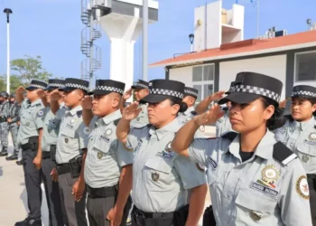 Llevarán a cabo trabajos de inteligencia para la prevención, persecución e investigación de delitos.