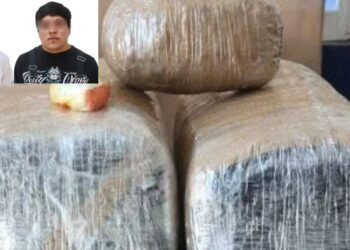 ¡Caen en terminal con casi 19 kilos de marihuana! Operativo detecta droga en maleta con olor penetrante