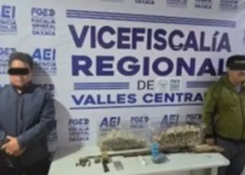 Cateos en Miahuatlán terminan con cuatro detenidos y aseguramiento de droga, armas y huevos de tortuga