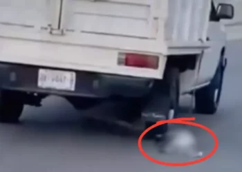 VIDEO ¡Bestia al volante! Arrastra a un perro por las calles de Puerto Escondido y lo deja al borde de la muerte