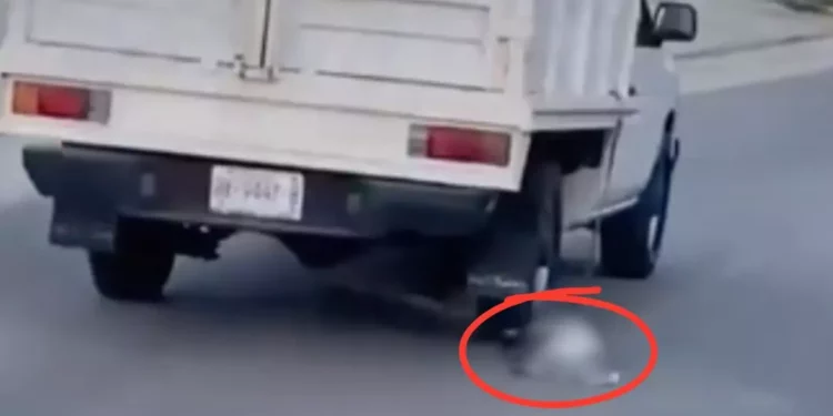 VIDEO ¡Bestia al volante! Arrastra a un perro por las calles de Puerto Escondido y lo deja al borde de la muerte