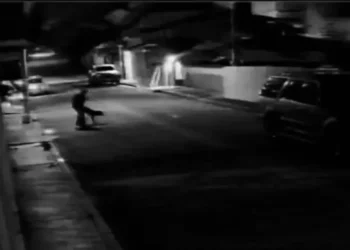 ¡Violan a una perrita en Tlaxiaco! Crimen indigna a la comunidad y exigen justicia
