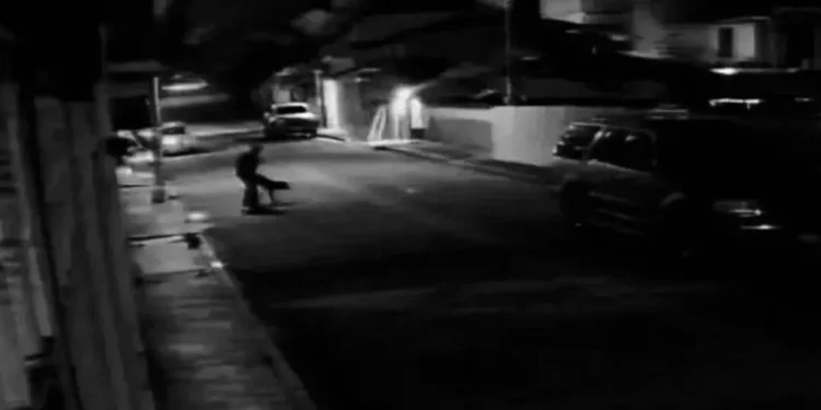 ¡Violan a una perrita en Tlaxiaco! Crimen indigna a la comunidad y exigen justicia