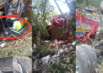 Accidente en la carretera a Puerto Escondido: tráiler vuelca en barranco