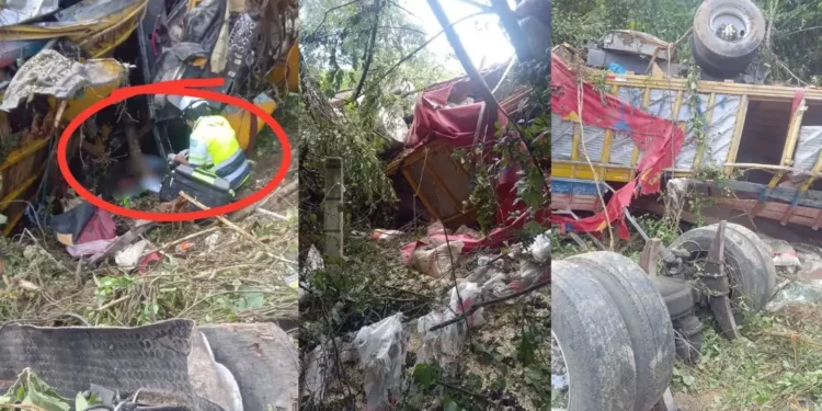 Accidente en la carretera a Puerto Escondido: tráiler vuelca en barranco