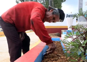 Foto: Adrián Gaytán // El municipio capitalino busca recuperar espacios en cementerios capitalinos.