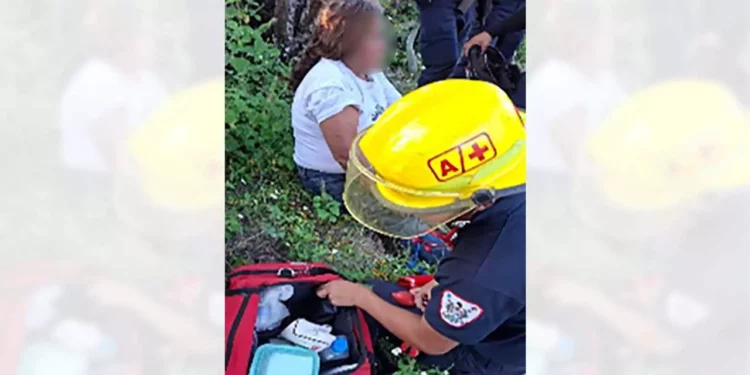 Auxilio inmediato. Paramédicos de Bomberos atendieron a una mujer de 57 años agredida con una piedra en Agua Dulce; su atacante continúa prófugo.
