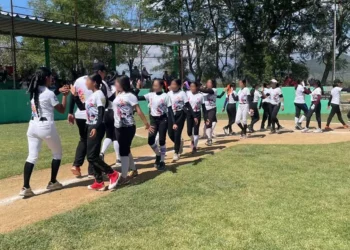 El torneo se desarrolló bajo la organización de Ligas Pequeñas de Beisbol de México, Región 6, y avalado por la Little League Softball.