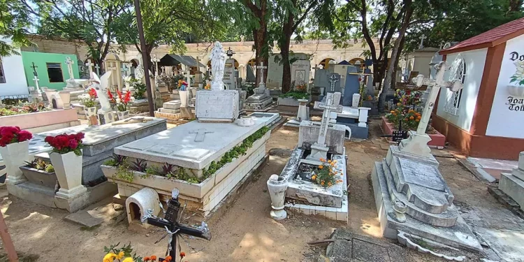 Fotos: Lisbeth Mejía Reyes // Espacios de inhumación son vendidos de manera ilegal hasta en 250 mil pesos en el mercado negro.