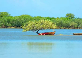 Foto: Omar Maya/Sam Gutiérrez // La laguna de Concepción Bamba, en Santo Domingo Tehuantepec, es encantadora y relajante.