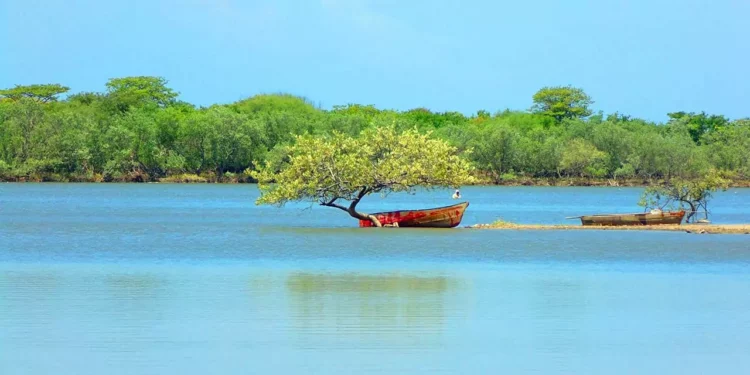 Foto: Omar Maya/Sam Gutiérrez // La laguna de Concepción Bamba, en Santo Domingo Tehuantepec, es encantadora y relajante.