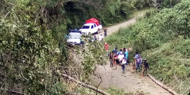 La región de la Sierra Norte acumula la mayor parte de los casos de desplazamiento forzado.
