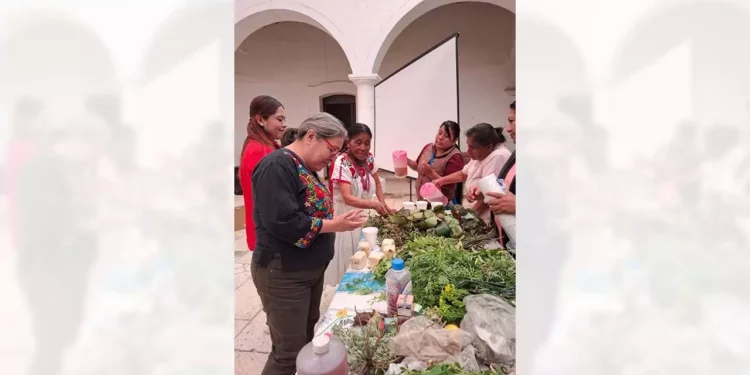 Médicos tradicionales y comunidades impulsan el rescate de la herbolaria y sus saberes ancestrales.