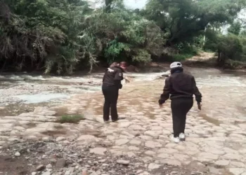Personal de la Procuraduría Municipal de Protección al Medio Ambiente intensifica operativos de vigilancia.