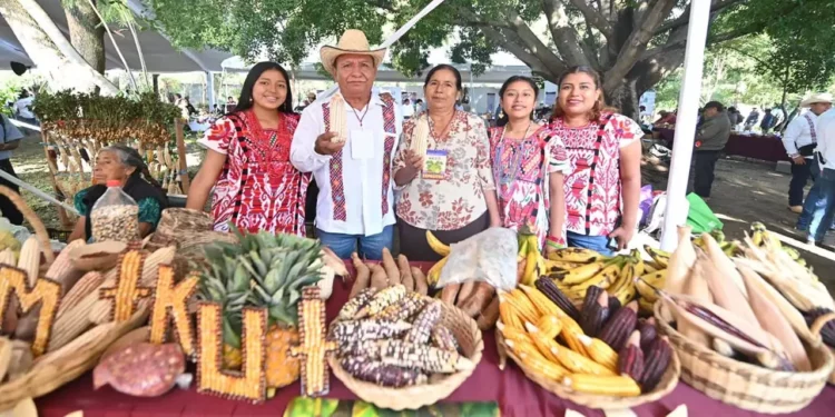 Campesinos de la Mixteca participaron en la celebración del Día Nacional del Maíz.