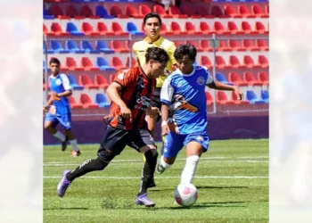 Dragones cayó el fin de semana ante Iguanas en la Liga TDP.