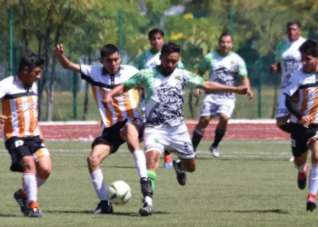 El ITO se prepara para observar a posibles jugadores para su plantel.
