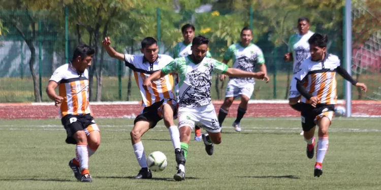 El ITO se prepara para observar a posibles jugadores para su plantel.