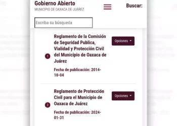 El cabildo también modificó el reglamento de Catastro, pero éste aún no aparece en el portal.