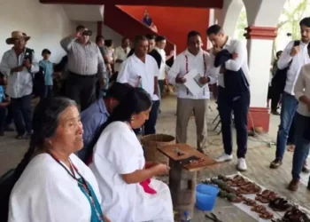 Fue en agosto pasado cuando la transnacional alemana y el diseñador mexico-americano Willy Chavarría presentaron el modelo "Oaxaca slip on".