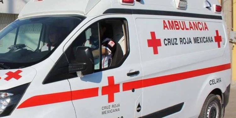 Auxilian a anciana atropellada por conductor de camión. Foto: Redes sociales