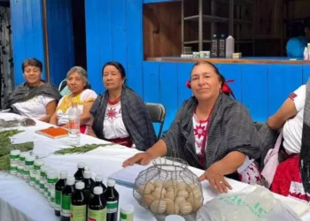 Médicos tradicionales y estudiantes del Tecnológico de San Miguel el Grande compartieron saberes ancestrales.