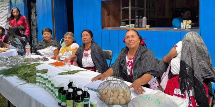 Médicos tradicionales y estudiantes del Tecnológico de San Miguel el Grande compartieron saberes ancestrales.