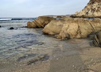 Miles de turistas nacionales y extranjeros arriban a la Costa oaxaqueña.