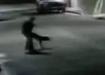 Circulan videos donde un sujeto aparece abusando sexualmente de un canino en la vía pública de Tlaxiaco.