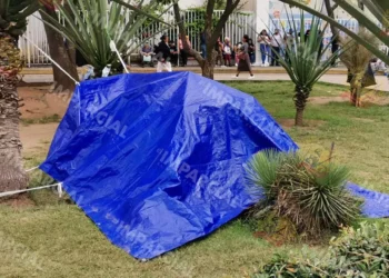 “Viven” en inmediaciones del Civil sin techo, atención ni recursos