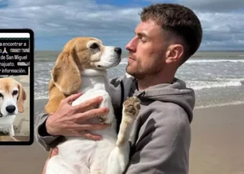 ¿Has visto a ‘Halo’? Aaron Ramsey ofrece 10 mil dólares de recompensa