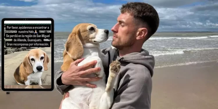 ¿Has visto a ‘Halo’? Aaron Ramsey ofrece 10 mil dólares de recompensa