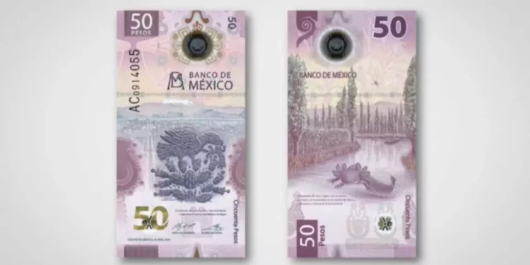 ¿Tú también lo guardas? El billete del ajolote cumple 4 años y ya vale más por bonito que por dinero