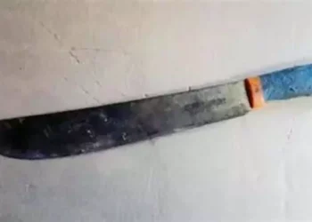 Con machete amenazaba a su familia.