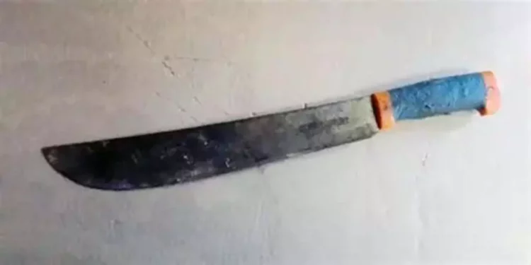 Con machete amenazaba a su familia.