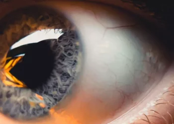 Nutrición para ver mejor: los alimentos que cuidan tu vista y previenen enfermedades oculares