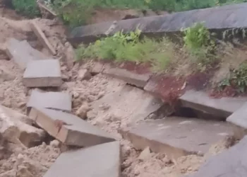 Colapsa vivienda en Loxicha: mueren abuela, madre e hija por lluvias y abandono