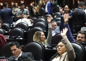Tendrá impacto negativo sobre la defensa de derechos de pueblos indígenas, dice Cruz Jiménez.
