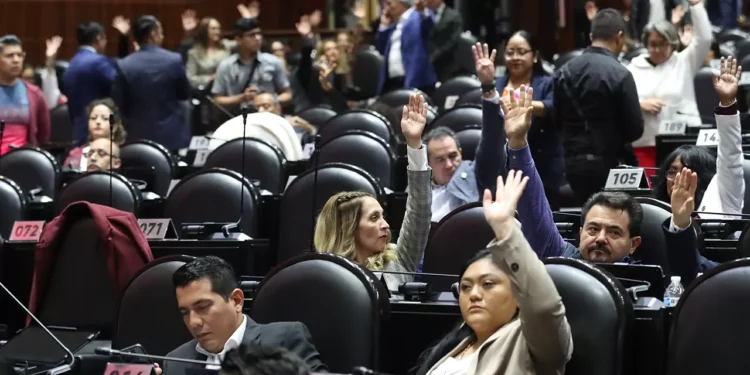 Tendrá impacto negativo sobre la defensa de derechos de pueblos indígenas, dice Cruz Jiménez.