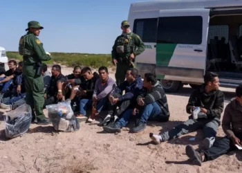 El DHS informó que detuvieron 237 mil 565 indocumentados en la frontera entre México y EE.UU. durante el año fiscal 2025.