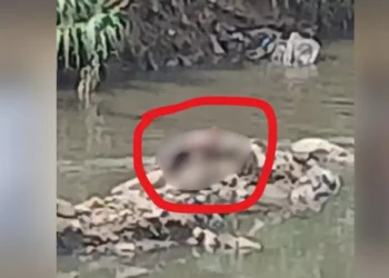 Localizan cadáver humano en el río Atoyac, a la altura de Instituto Cumbres