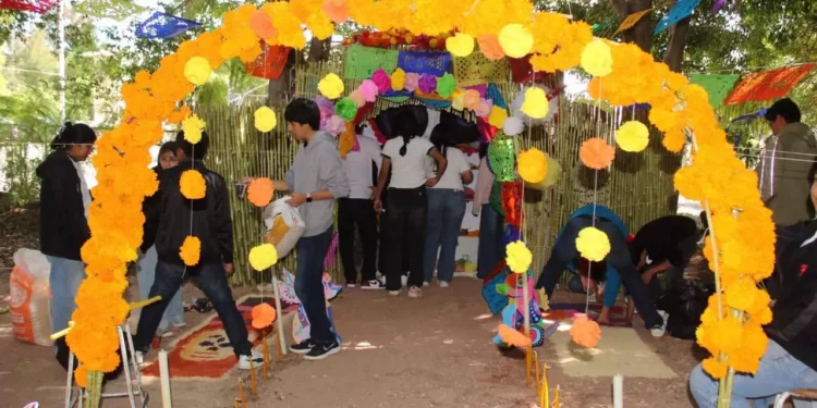 El evento se transformó en un espectáculo cultural abierto a la comunidad.