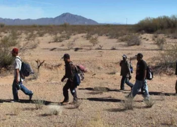 Foto: archivo // Al menos el 95 por ciento de los casos de deportación registrados, las y los migrantes decidieron volver a cruzar la frontera por cuenta propia.